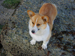 Resize of SANY1001_thumb.jpg